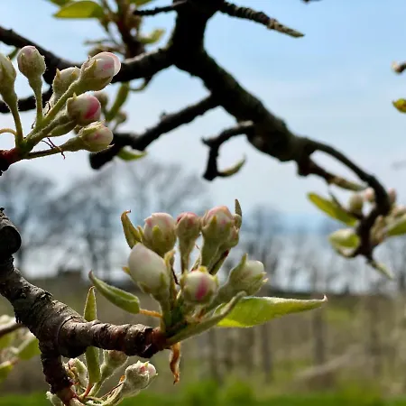 Blickinsgruen Apartment Friedrichshafen